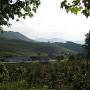 Picture 112